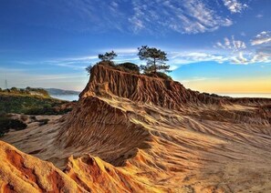 Torrey Pines State Reserve