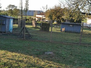 Boendeområde