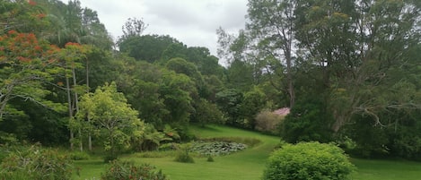 Terrain de l’hébergement 