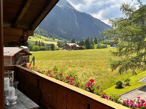 the stunning views from the balcony 