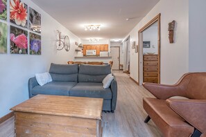 Living Room Pull-Out Couch 