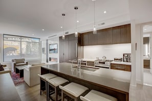 Kitchen / Living Area