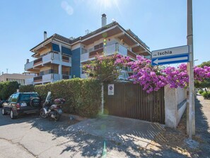 Sky, Plant, Building, Flower, Property, Wheel, Window, Vehicle, House