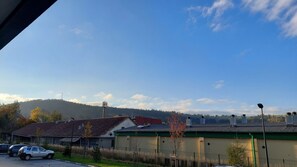 Vista desde la habitación