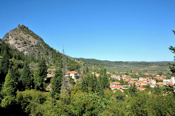 View from the property