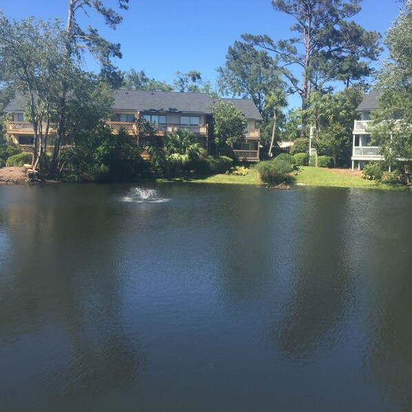 Situated on a pond stocked with turtles.