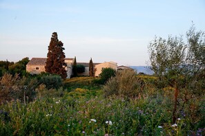 Amenities, Building Exterior, Garden, Main Entrance, Pool, Spring, Summer, Wellness