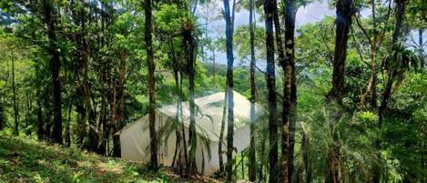 Glamping Tent from street view