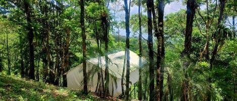 Glamping Tent from street view