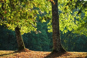 Jardines del alojamiento