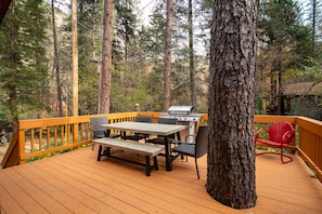 Outdoor eating area and BBQ grill