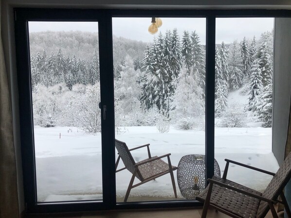 View with the patio from the living room. The scenery and the snow are real.