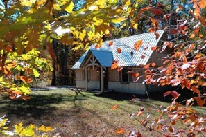 Welcome to Plum Nelly Cabin