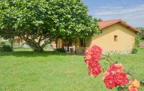 Garden,Garden view