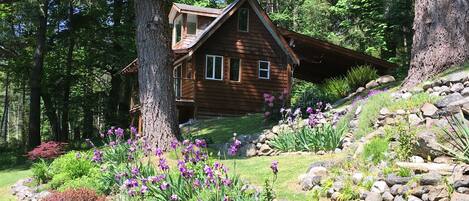 View of the cottage from our perennial beds.