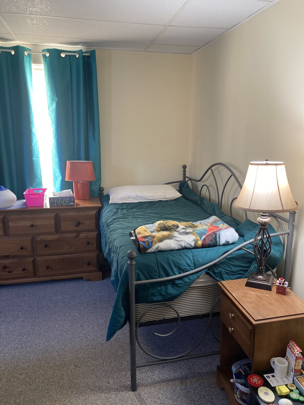Cute apartment in Lyndonville, 10 mins from Burke Mountain and Kingdom Trails!