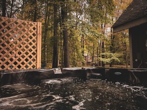 Brand new hot tub and firepit in the backyard!