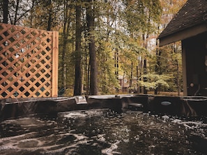 Brand new hot tub and firepit in the backyard!