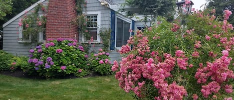 Main house with beautiful hydrangeas ,roses and flowers