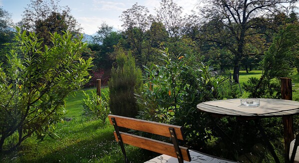 View - Classic Studio