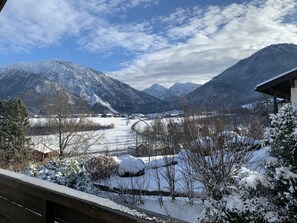 Terrain de l’hébergement 