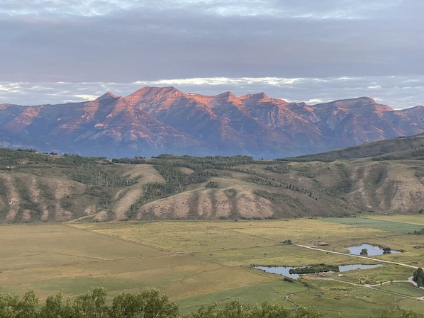 View from deck