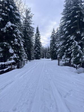 Snow and ski sports