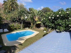 Garden and pool