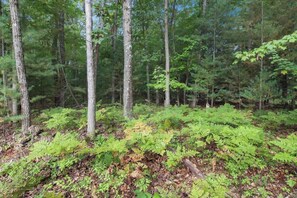 The property includes several acres of wooded land behind the house, which is adjacent to other walking trails. Interlochen State Park is a 0.5 mile walk away. Green Lake Disc Golf Park is a short drive away and has beautiful walking trails.