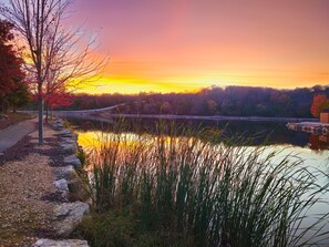 Experience stunning sunsets over Forest Lake at Whitetail Lodge. Nestled in Branson’s Ozark Mountains, enjoy the serene beauty and take a peaceful stroll along the scenic walking trail that winds around the lake, perfect for relaxation and enjoying nature.