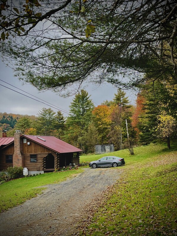 Fall