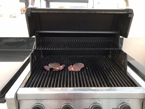 Weber grill, gasol, make your own dinner 