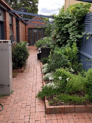 Side courtyard views