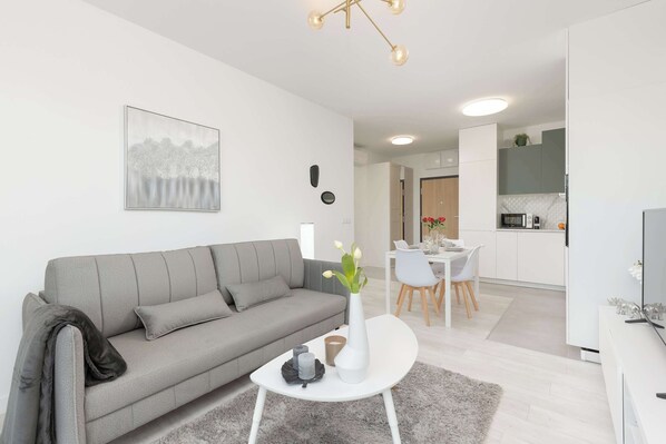 Living room with double sofa bed.