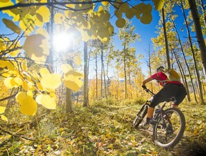 Epic mountain bike trails throughout the area