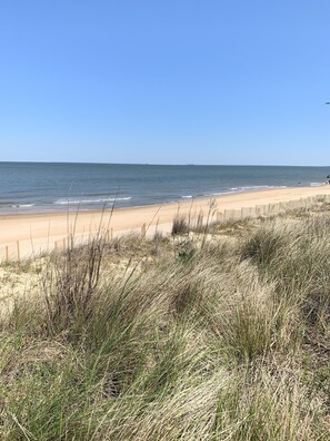 Horizon, Nature, Outdoors, Sky, Grass