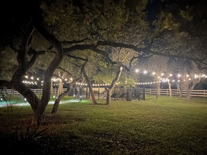 Backyard at night under the cafe lights 