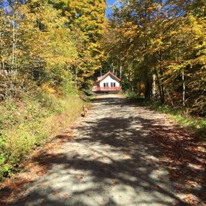 The Guest House in Early Autumn