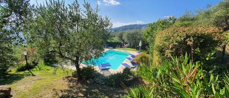 Plante, L'Eau, Ressources En Eau, Ciel, Nuage, Paysage Naturel, Arbre, Lot Terre, Piscine, Loisir