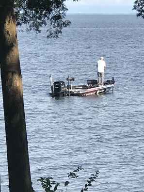 Divers