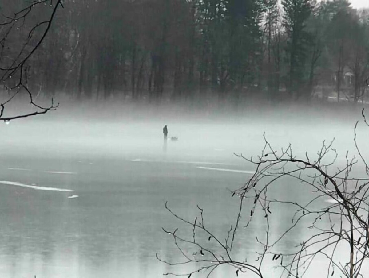 The Cottage by the Lake: Hudson Valley Indulgence/1 hr. from NYC/welcome pets!.