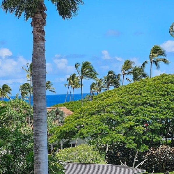 Partial Ocean View from private lanai