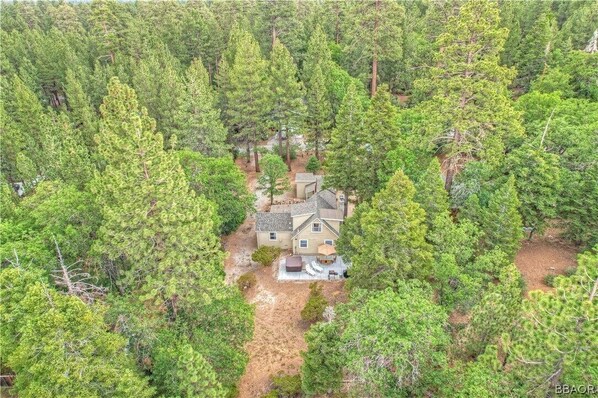 Drone View