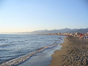 Activities, Autumn, Spring, Summer