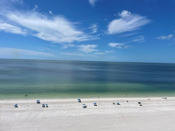 Another Day in Paradise!