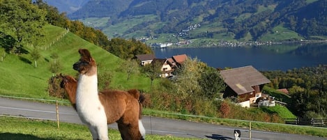 Aussicht auf unseren Hof mit Bergpanorama und Sarnersee