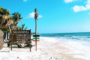 Playa