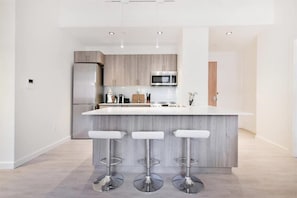 Downtown/South End Boston 2 Bedroom Kitchen