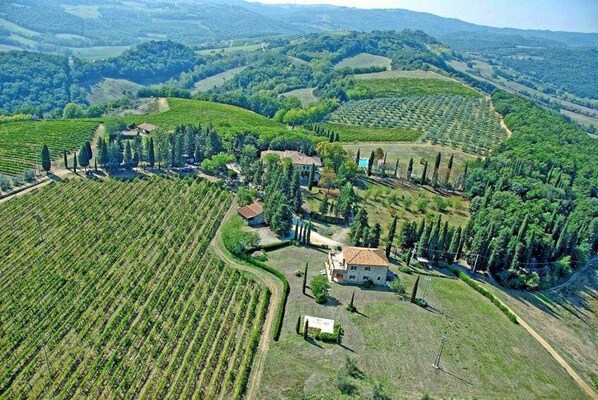 Aerial view