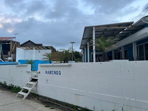 Exteriör